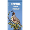 Nevada Birds: A Folding Pocket Guide to Familiar Species - Paperback