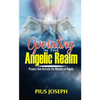 Operating in the Angelic Realm: Prayers that Activate the Ministry of Angels - Paperback