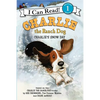Charlie the Ranch Dog: Charlie's Snow Day: A Winter and Holiday Book for Kids - Hardcover