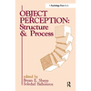 Object Perception: Structure and Process - Paperback