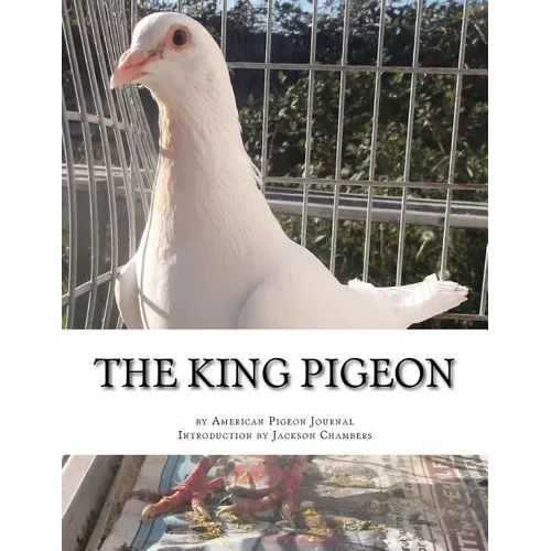 The King Pigeon - Paperback