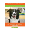 Border Collie Dogs as Pets: The Handy Guide for Border Collies - Paperback