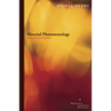 Fielding Derrida: Philosophy, Literary Criticism, History, and the Work of Deconstruction - Paperback
