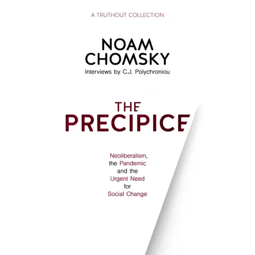 The Precipice: Neoliberalism, the Pandemic and the Urgent Need for Social Change - Paperback