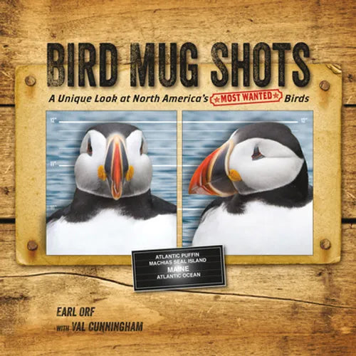 Bird Mug Shots: A Unique Look at North America's Most Wanted Birds - Paperback