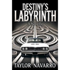 Destiny's Labyrinth, A Novella - Paperback