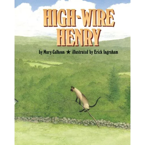 High-Wire Henry - Paperback