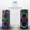 IQ Sound 2x12-Inch Portable Bluetooth Party Speaker