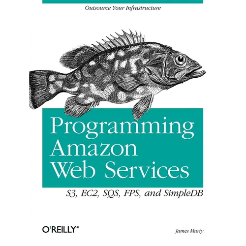 Programming Amazon Web Services: S3, EC2, SQS, FPS, and SimpleDB - Paperback
