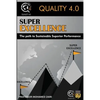 Super Excellence: The path to Sustainable Superior Performance - Paperback