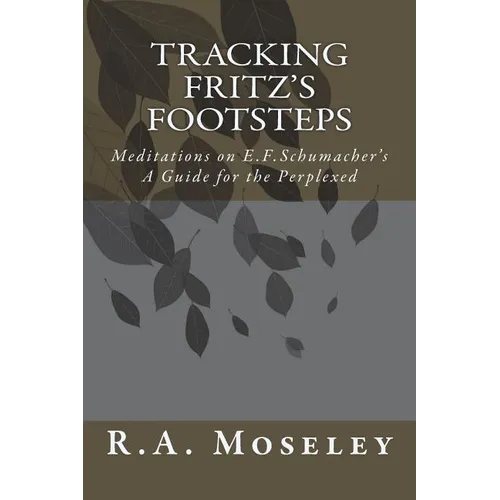 Tracking Fritz's Footsteps: Meditations on E.F. Schumacher's A Guide for the Perplexed - Paperback