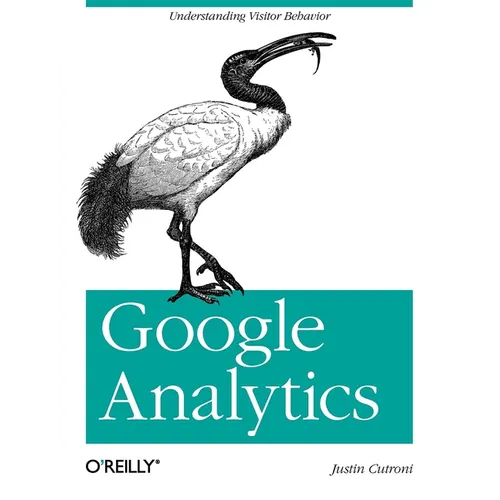 Google Analytics: Understanding Visitor Behavior - Paperback