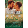 Omega Under the Mistletoe: A Non Shifter Alpha Omega Mpreg Romance - Paperback