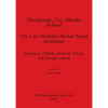 Newgrange, Co. Meath, Ireland: The Late Neolithic/Beaker Period Settlement - Paperback