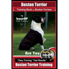 Boston Terrier Training Book for Boston Terriers By BoneUP DOG Training: Are You Ready to Bone Up? Easy Training * Fast Results Boston Terrier Trainin - Paperback