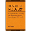 The Secret of Recovery: An Enlightened Guide to Transcending the Pitfalls of Trauma, Addiction, Codependency and Life in General - Paperback