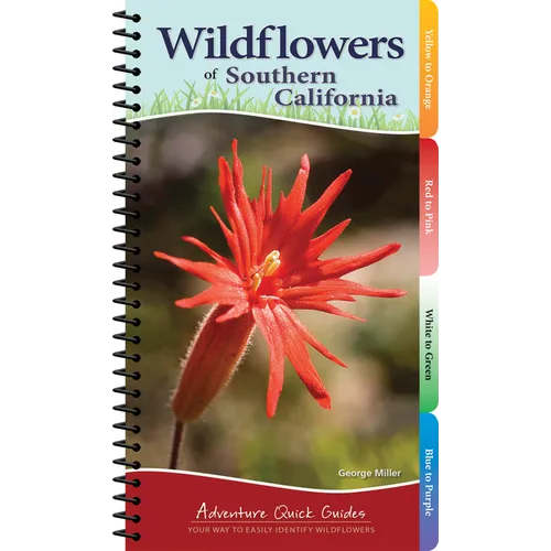 Wildflowers of Southern California: Your Way to Easily Identify Wildflowers - Spiral