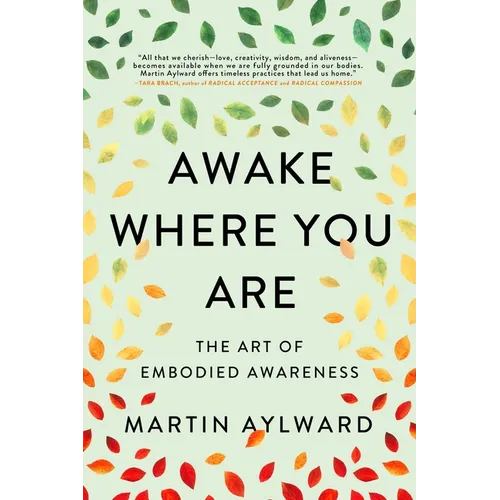 Awake Where You Are: The Art of Embodied Awareness - Paperback