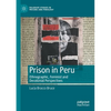 Prison in Peru: Ethnographic, Feminist and Decolonial Perspectives - Paperback