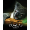 Koalas: Zen In Fur (Trade Color Edition) - Paperback