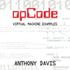 opCode: virtual machine examples - Paperback