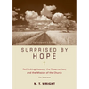 Surprised by Hope Bible Study Participant's Guide: Rethinking Heaven, the Resurrection, and the Mission of the Church - Paperback