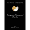 The Process Enneagram(c): Essays on Theory and Practice - Paperback