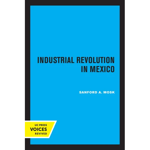 Industrial Revolution in Mexico - Paperback