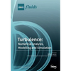 Turbulence: Numerical Analysis, Modelling and Simulation - Paperback