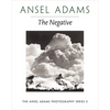 The Negative - Paperback