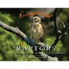 Enraptured by Raptors: The story of a hawk family that captured the heart of a community - Paperback