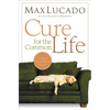 Cure for the Common Life: Living in Your Sweet Spot - Paperback