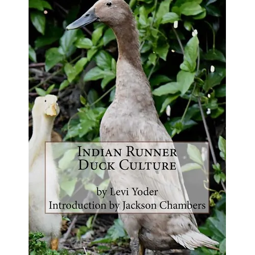 Indian Runner Duck Culture - Paperback