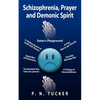 Schizophrenia, Prayer and Demonic Spirit: Satan's Playground - Paperback