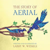The Story of Aerial - Paperback