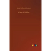 A Boy of Galilee - Hardcover