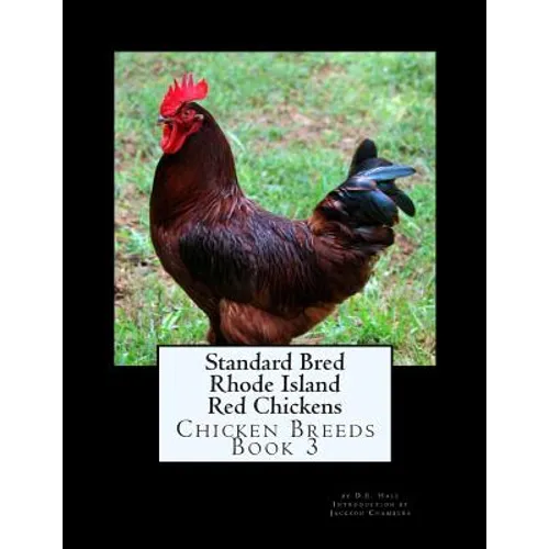 Standard Bred Rhode Island Red Chickens - Paperback