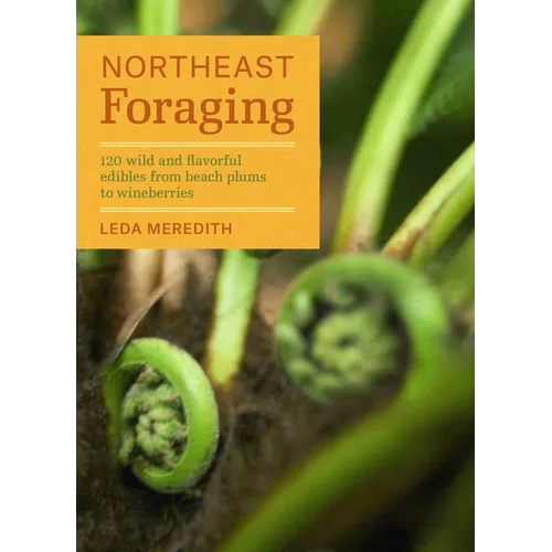 Northeast Foraging: 120 Wild and Flavorful Edibles from Beach Plums to Wineberries - Paperback