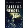 Falling Angel - Paperback