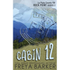 Cabin 12 - Paperback