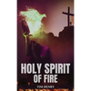 Holy Spirit of Fire - Hardcover