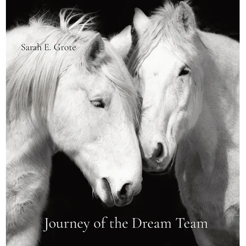 Journey of the Dream Team - Hardcover