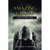 Amazing Grace Addiction Bible Study - Paperback