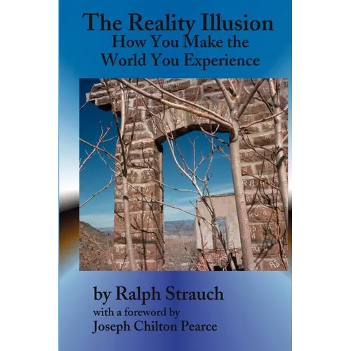 The Reality Illusion: How You Make The World You Experience - Paperback