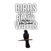 Birds in the Black Water: A Dark, Paranormal Drama - Paperback