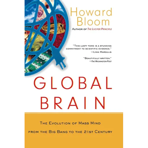 Global Brain: The Evolution of the Mass Mind from the Big Bang to the 21st Century - Paperback