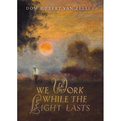 We Work While the Light Lasts - Paperback