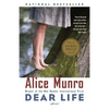 Dear Life: Stories - Paperback