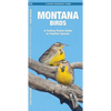 Montana Birds: A Folding Pocket Guide to Familiar Species