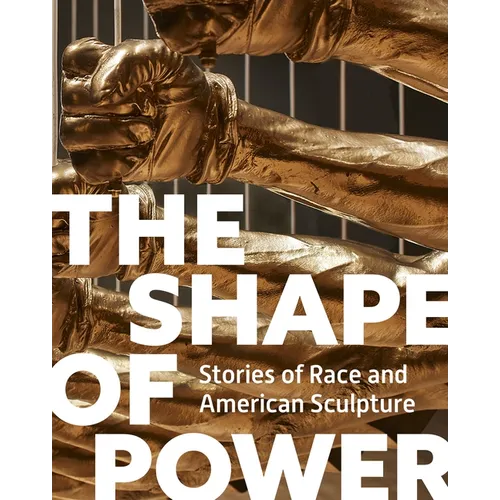 The Shape of Power: Stories of Race and American Sculpture - Hardcover